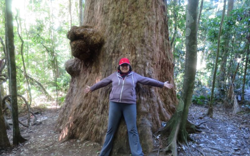 alison_laverty_writer